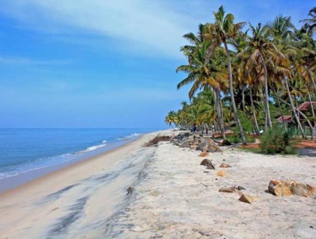 Marari La Rose Beach Homestay ماراريكولام المظهر الخارجي الصورة