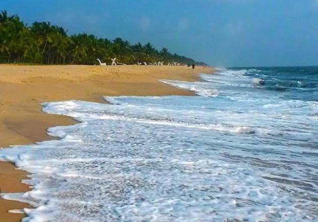 Marari La Rose Beach Homestay ماراريكولام المظهر الخارجي الصورة