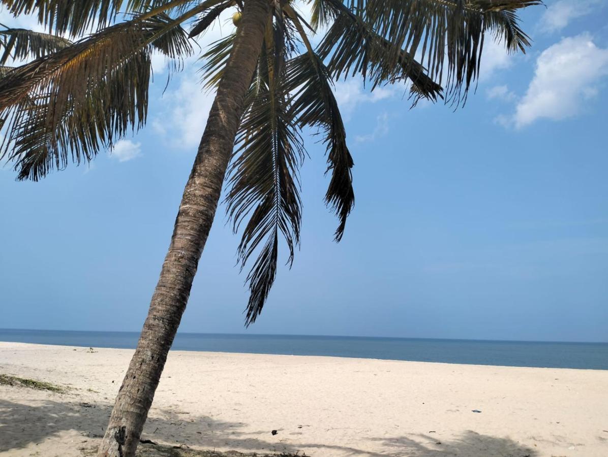 Marari La Rose Beach Homestay ماراريكولام المظهر الخارجي الصورة