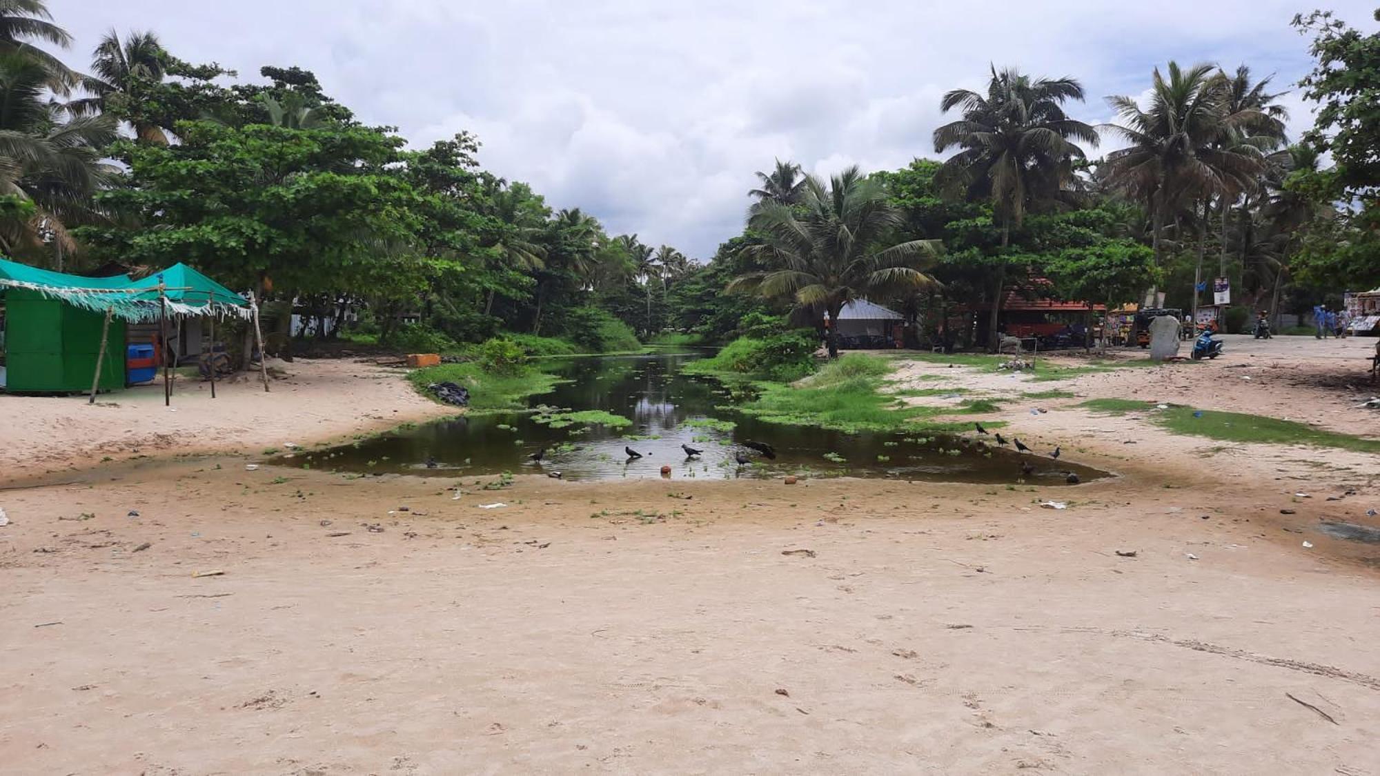 Marari La Rose Beach Homestay ماراريكولام المظهر الخارجي الصورة